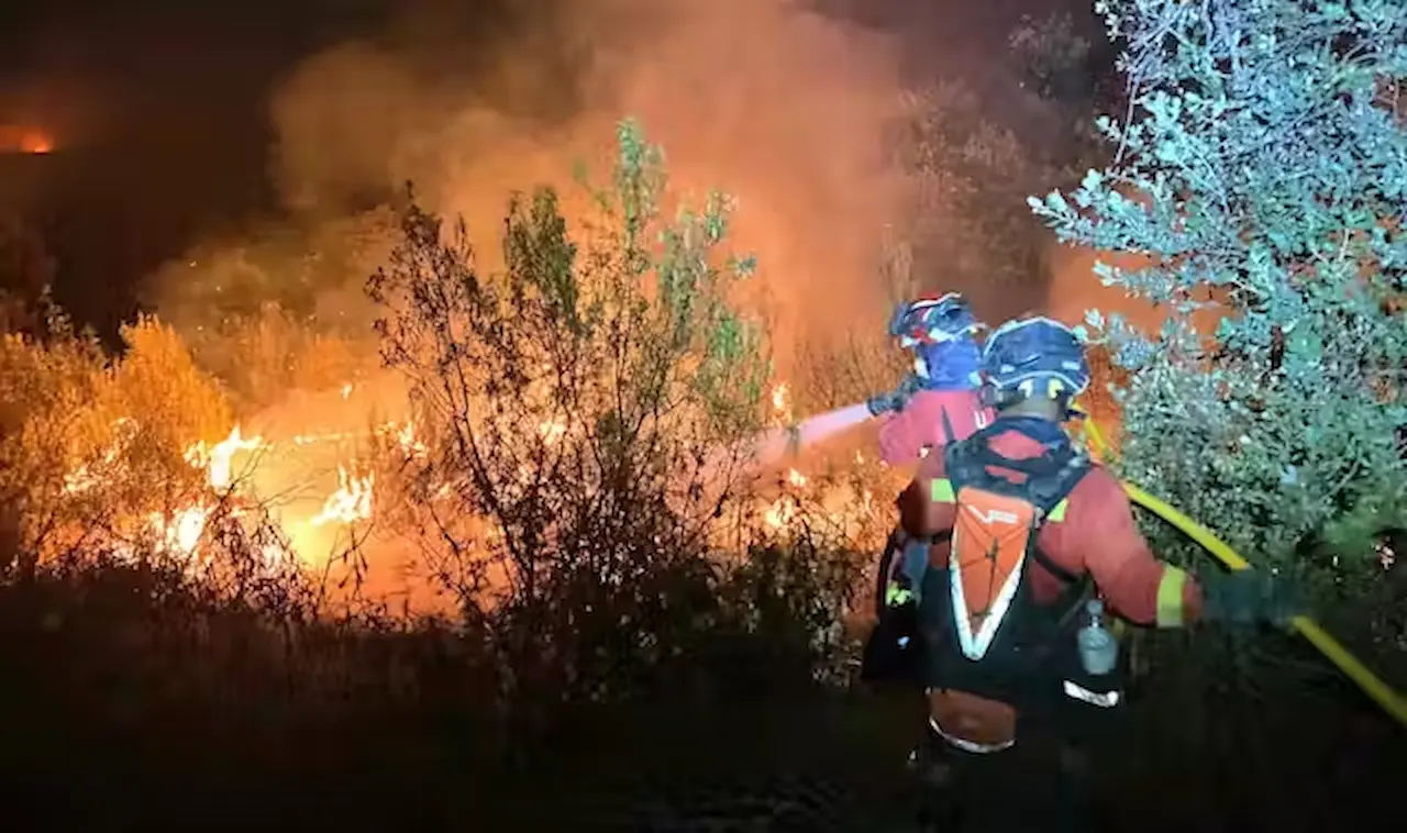 Hacer frente a los incendios forestales, un pacto de Estado. Actuación de la Unidad Militar de Emergencias en el incendio de Tres Cantos (Madrid) el 12 de agosto de 2025 / Foto: UME UME
