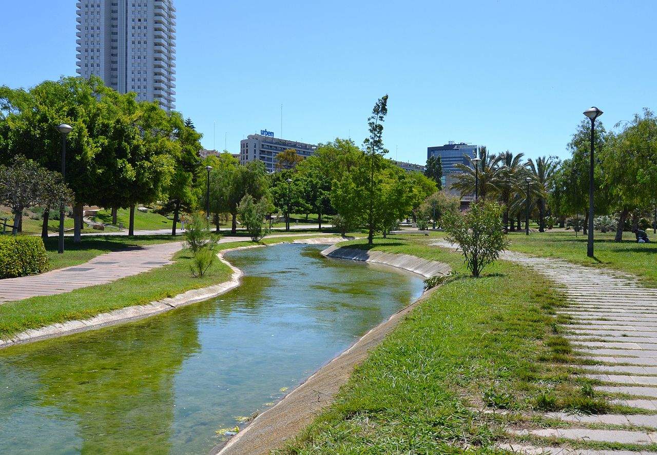 Los árboles que mejor refrescan las ciudades. Jardí del Túria de València / Foto. Wikimedia Commons