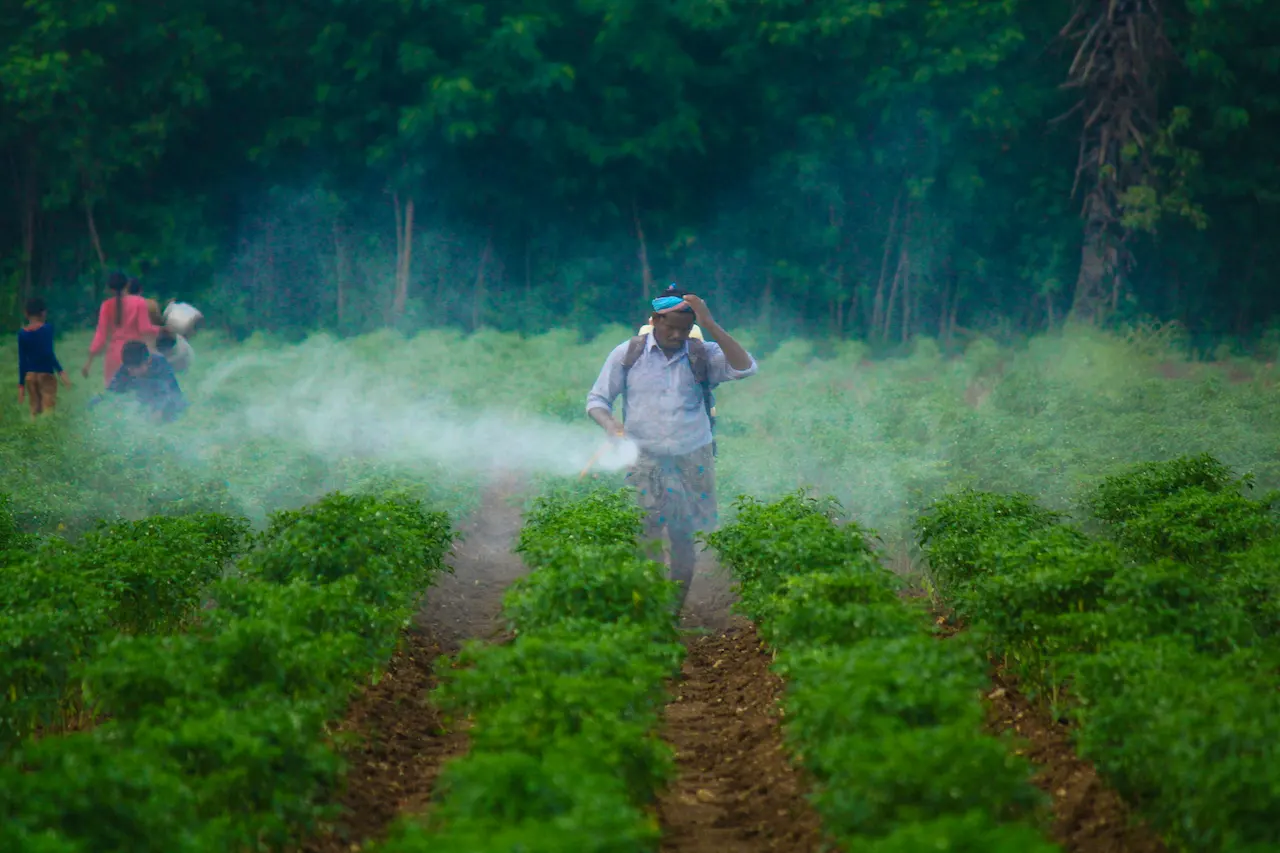 En países de renta media o baja es fácil el acceso a pesticidas peligrosos / Foto: UP