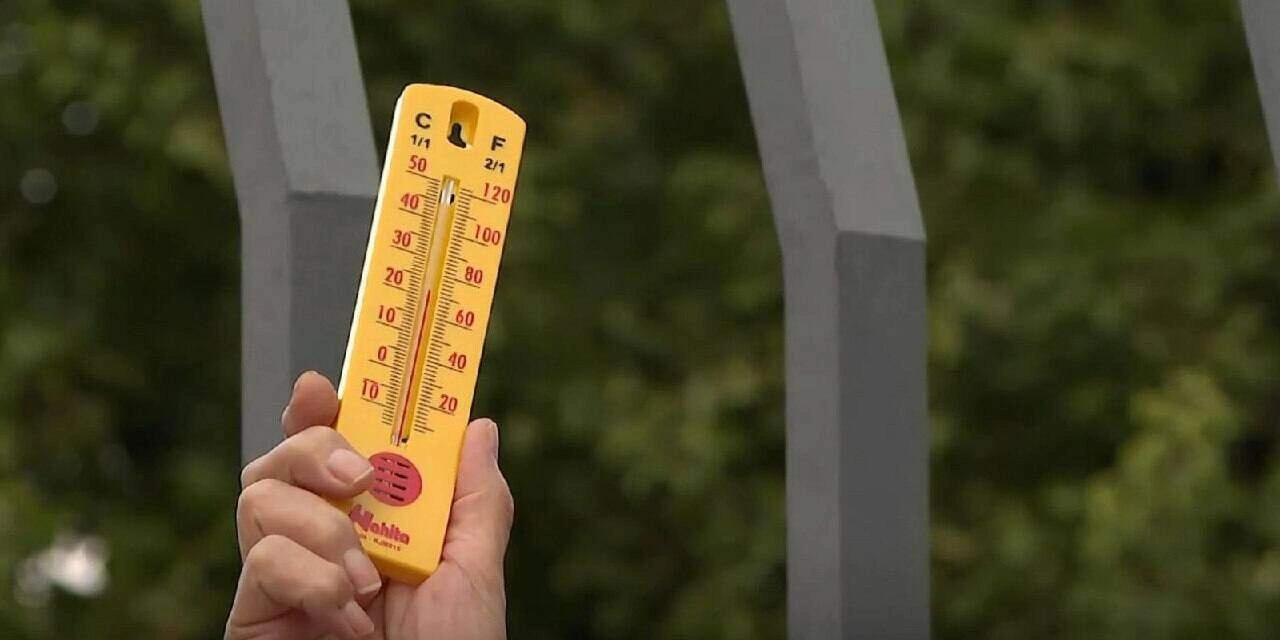 Mediciones de temperatura en diferentes ciudades. 'Termometrada 2025' / Foto: Ecologistas en Acción