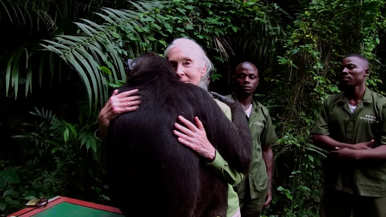 Muere a los 91 años Jane Goodall, etóloga y defensora del medio ambiente / Foto: EP