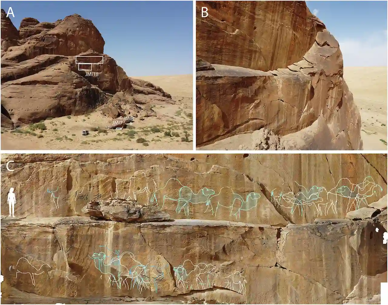 Paneles de arte rupestre en Jebel Arnaan / Foto: Dra. Maria Guagnin