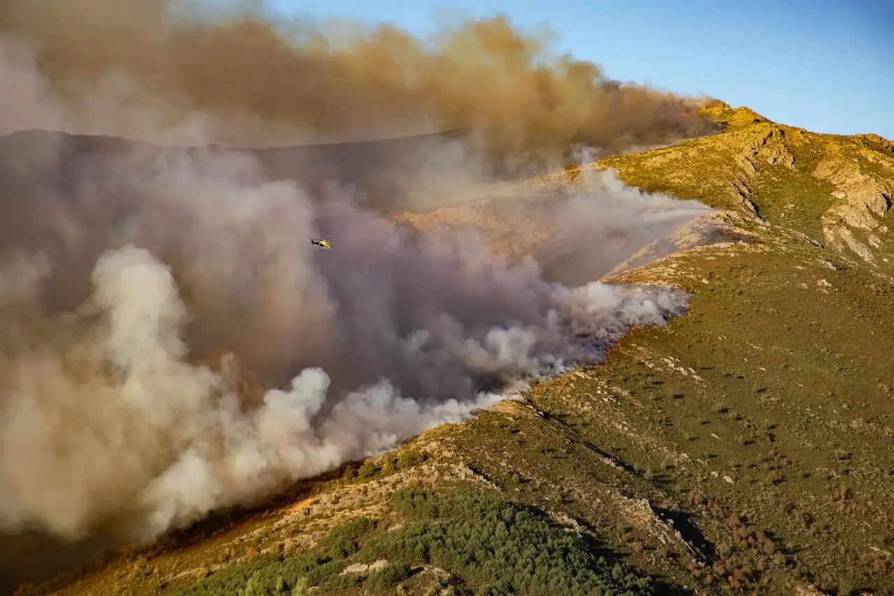 Incendio en el entorno del Pico del Lobo, Peñalba de la Sierra, Guadalajara (España) 26 de septiembre de 2025 / Foto: EP