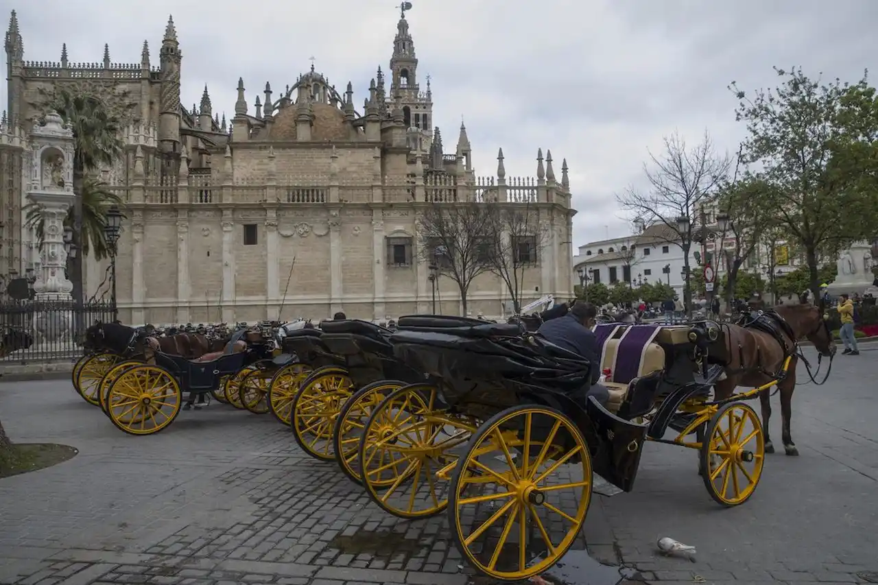 Proponen una consulta sobre el futuro de los coches de caballos en Sevilla / Foto: María José López - EP