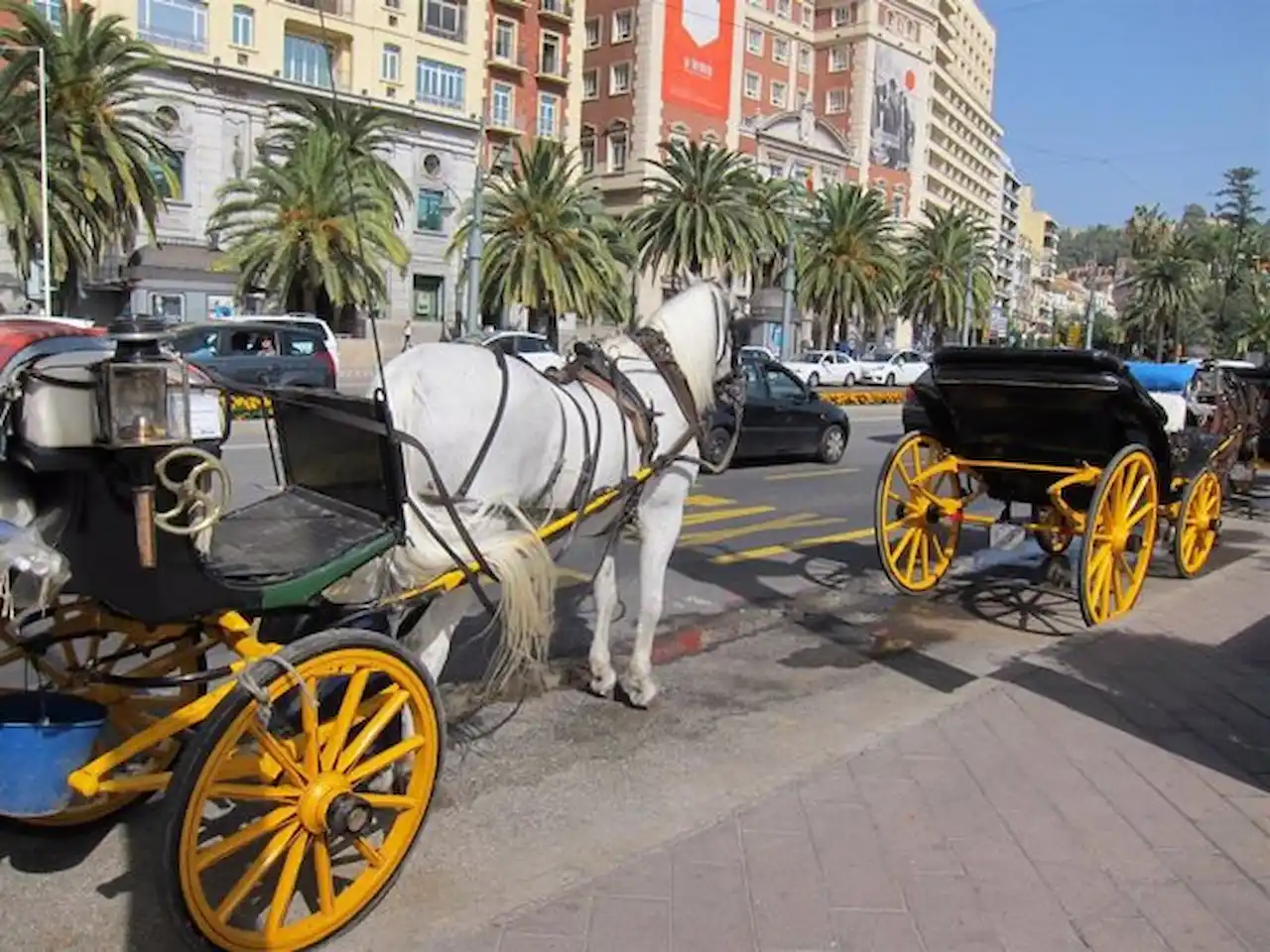 Quedan revocadas las licencias de los coches de caballos en Málaga capital / Foto: EP