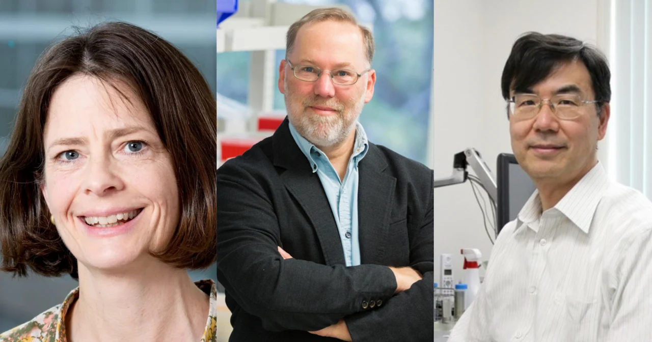 Los tres ganadores del Nobel de Medicina 2025: Mary Brunkow, Fred Ramsdell y Shimon Sakaguchi / Foto: Institute for Systems Biology - Wikimedia Commons - Osaka University