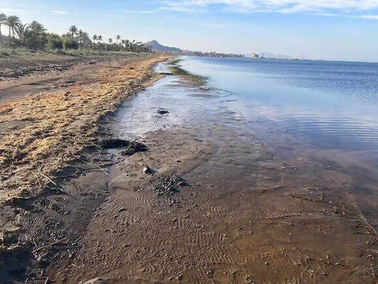 Mar Menor, un siglo de contaminación por metales / Foto: ICTA-UAB