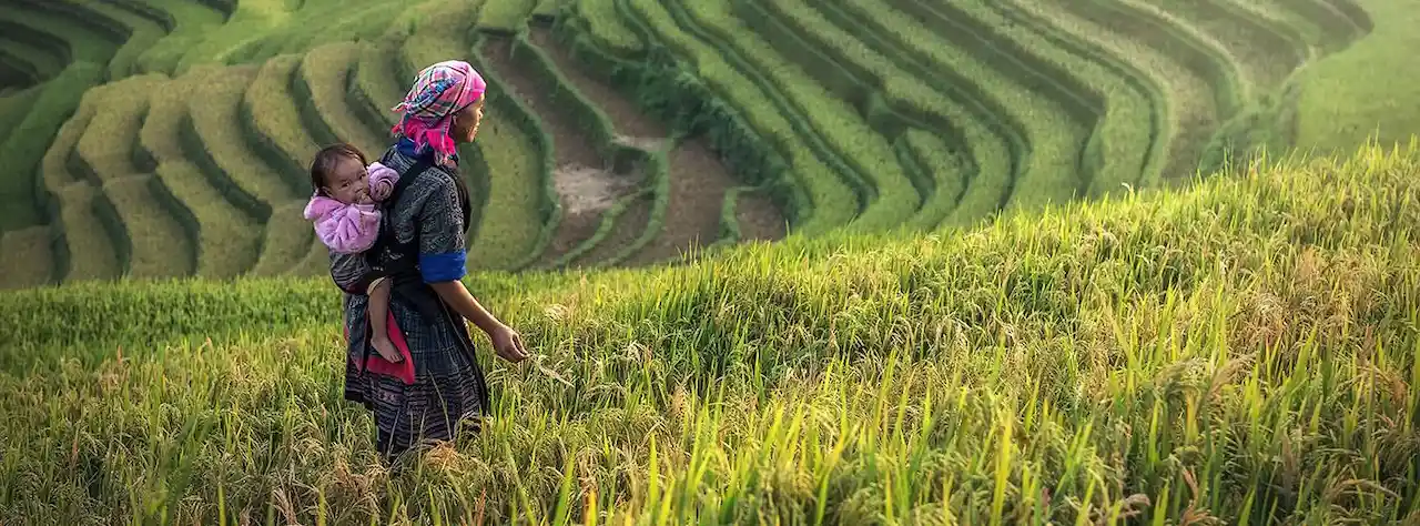 Las mujeres rurales tienen menos acceso a los recursos y a la participación / Foto: FAO