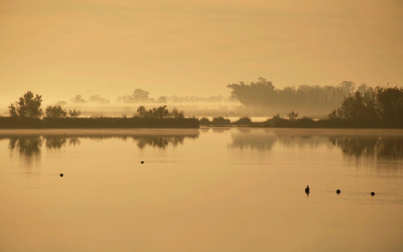 Doñana sofrirá impactos irreversible en la marisma fluvial si hay deslinde / Foto: PB