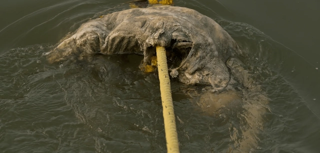 Restos de un cuerpo flotando en el agua. En el Ganges y Yamuna, ríos sagrados, se arrojan cuerpos de cremaciones; las familias pobres, con leña escasa, a veces no logran reducirlos a cenizas / Foto: Alfons Rodríguez