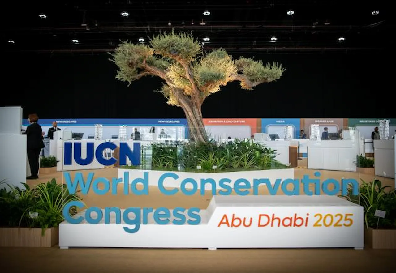 Concluye en Abu Dabi el Congreso Mundial de la Naturaleza 2025 / Foto: UICN