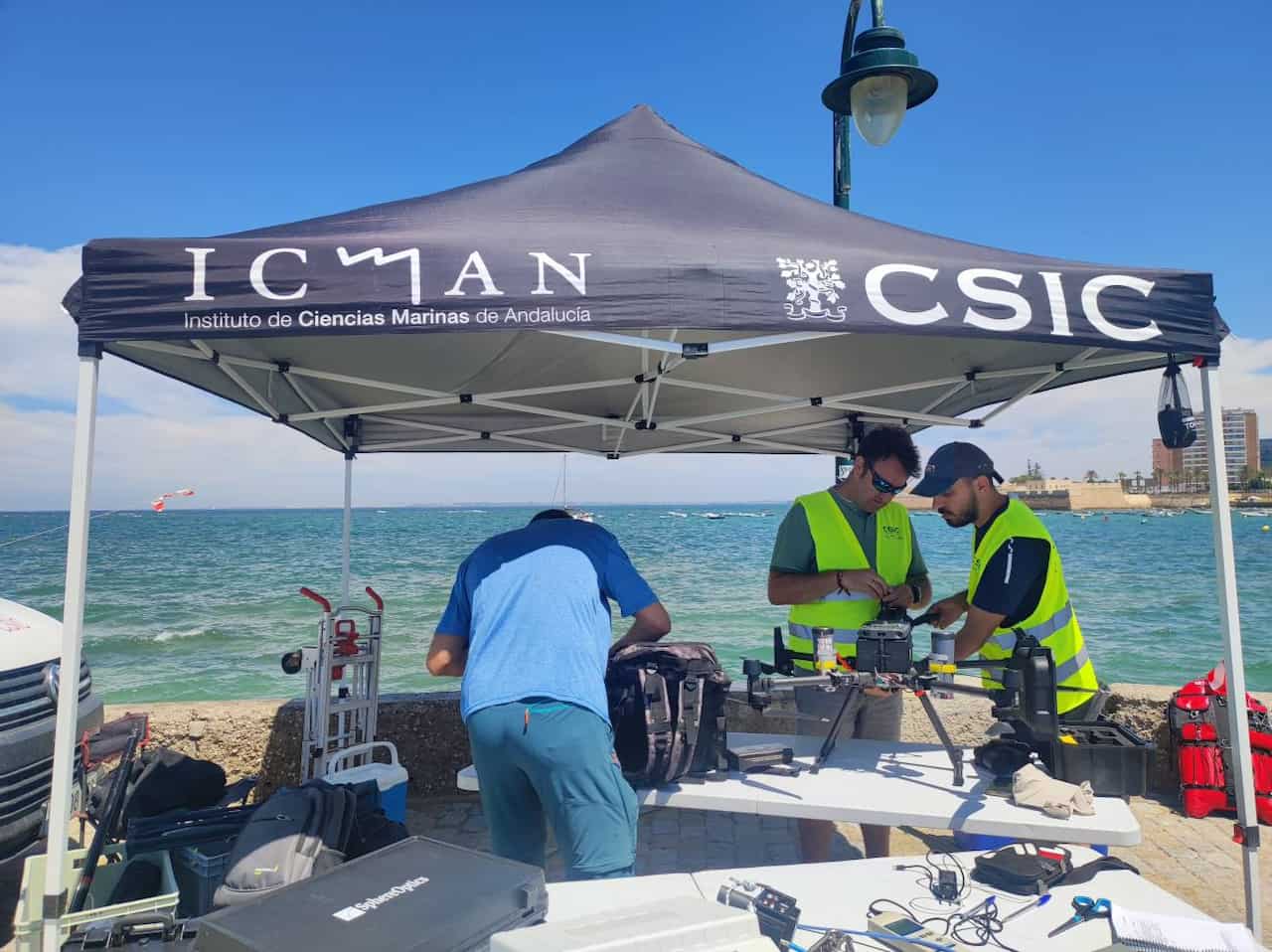 Frenar el impacto de las cremas solares sobre el mar / Foto: CSIC