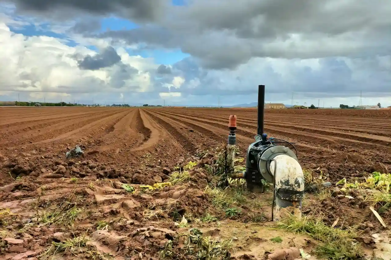 El regadío se identifica tanto como un problema de desertificación como una barrera contra el mismo / Foto: Julia Martínez, CC BY-SA
