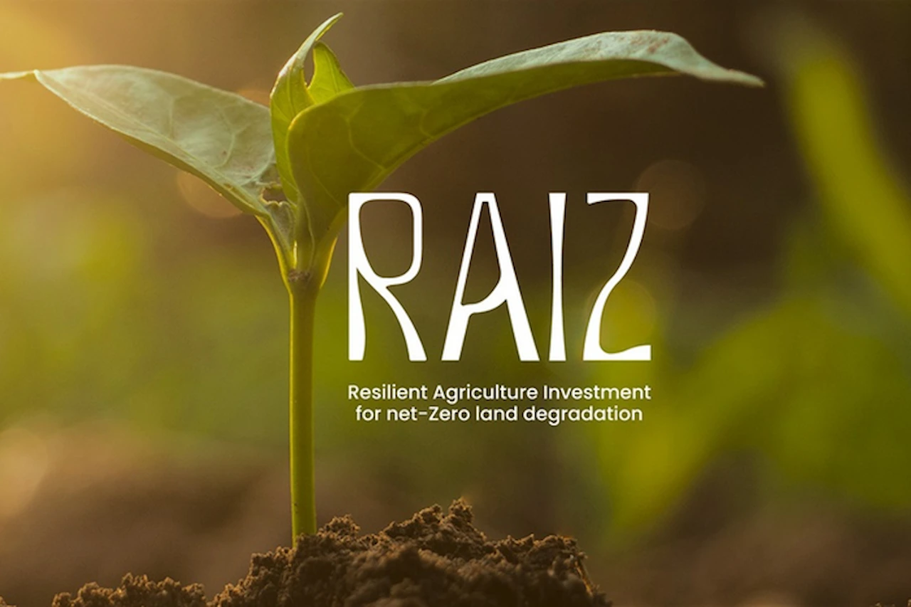 La iniciativa global RAIZ, para la recuperación de áreas degradadas / Imagen: MAPA