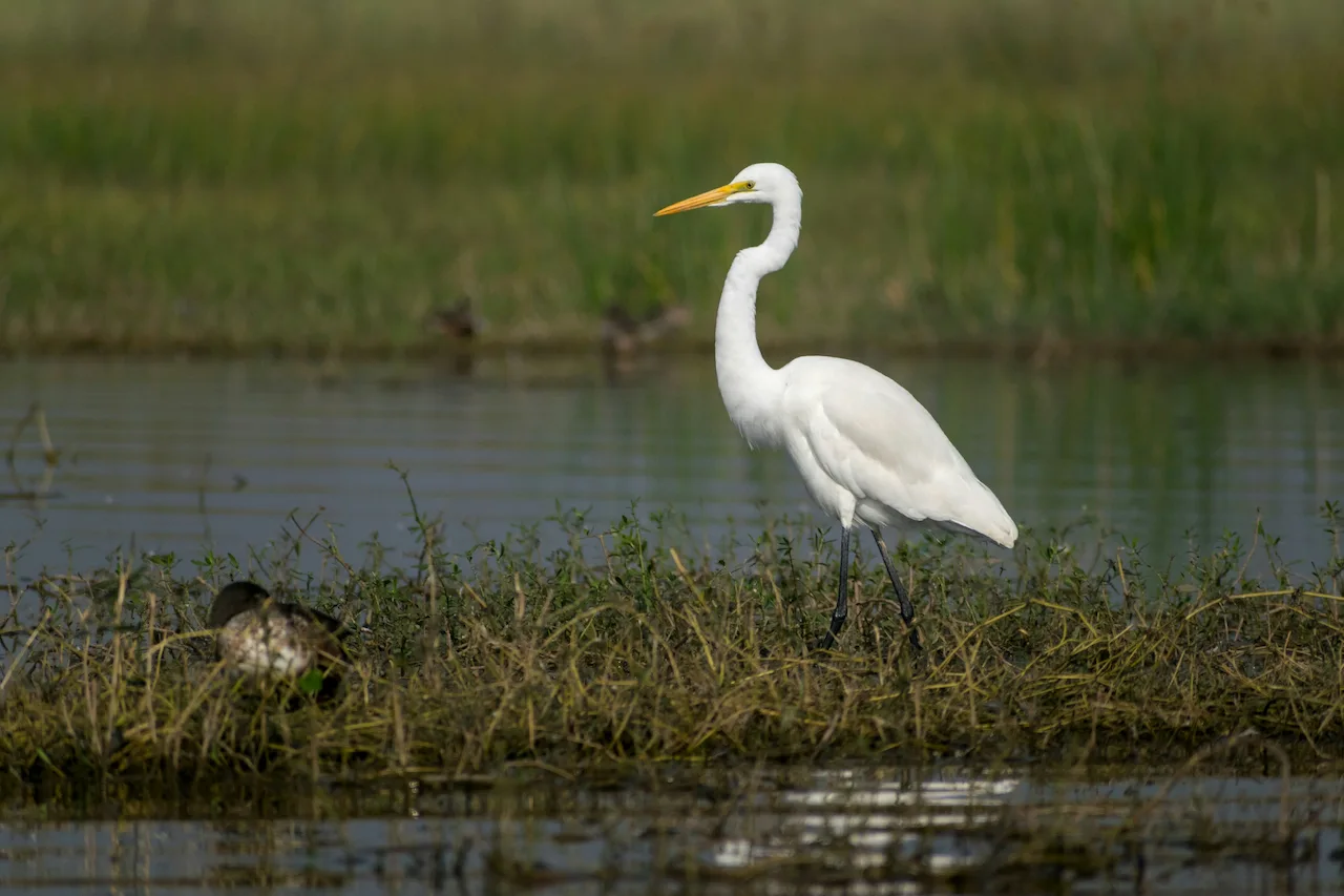 Contaminación difusa en espacios protegidos / Foto: UP