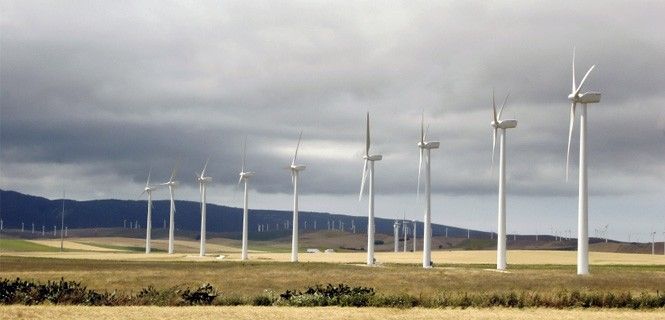 Un parque eólico en Andalucía, España. 40 empresas se han repartido la subasta de las renovables / Foto: Binabina