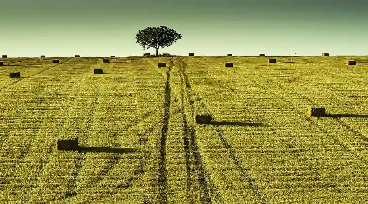 Un PFAS persistente y tóxico para la reproducción contamina los alimentos de cereal / Foto: PB Un PFAS persistente y tóxico para la reproducción contamina los alimentos de cereal / Foto: PB