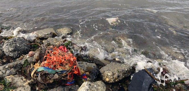 Residuos acumulados en la orilla norte del estrecho de Magallanes (Chile) / Foto: Alfons Rodríguez