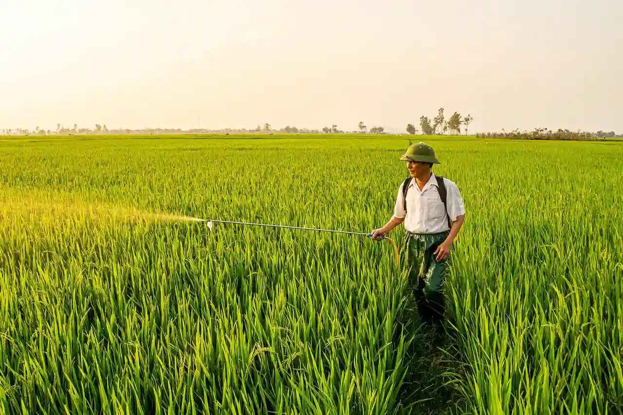 Bruselas propone vía libre para los plaguicidas tóxicos / Foto: EP Bruselas propone vía libre para los plaguicidas tóxicos / Foto: EP