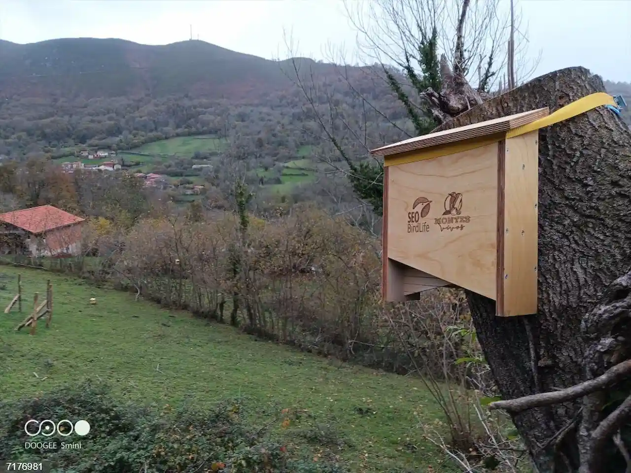 El proyecto 'Montes Vivos' / Foto: SEO/Birdlife