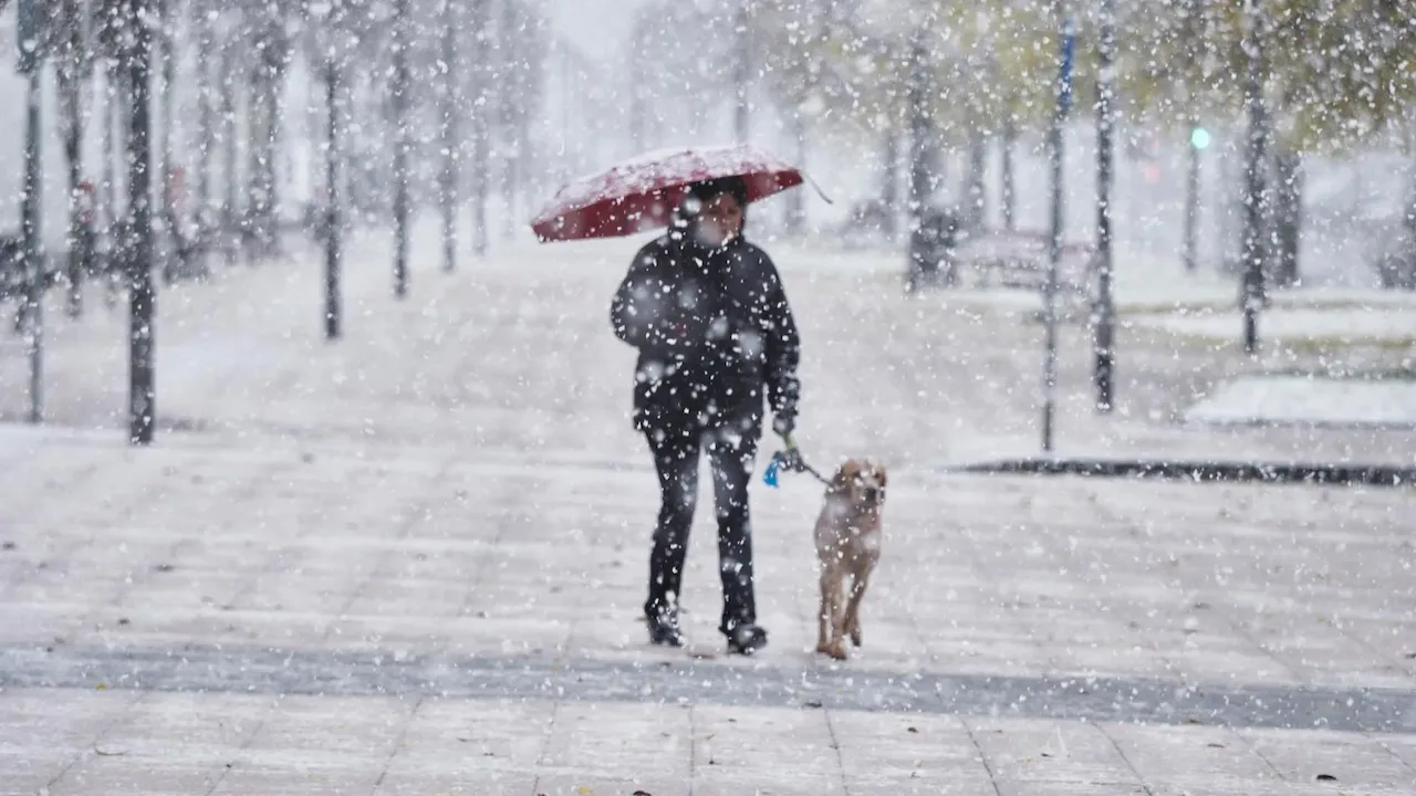 Una mujer camina junto a su perro mientras nieva, a 28 de noviembre de 2021, en Pamplona, Navarra (España) / Foto: Archivo - EP