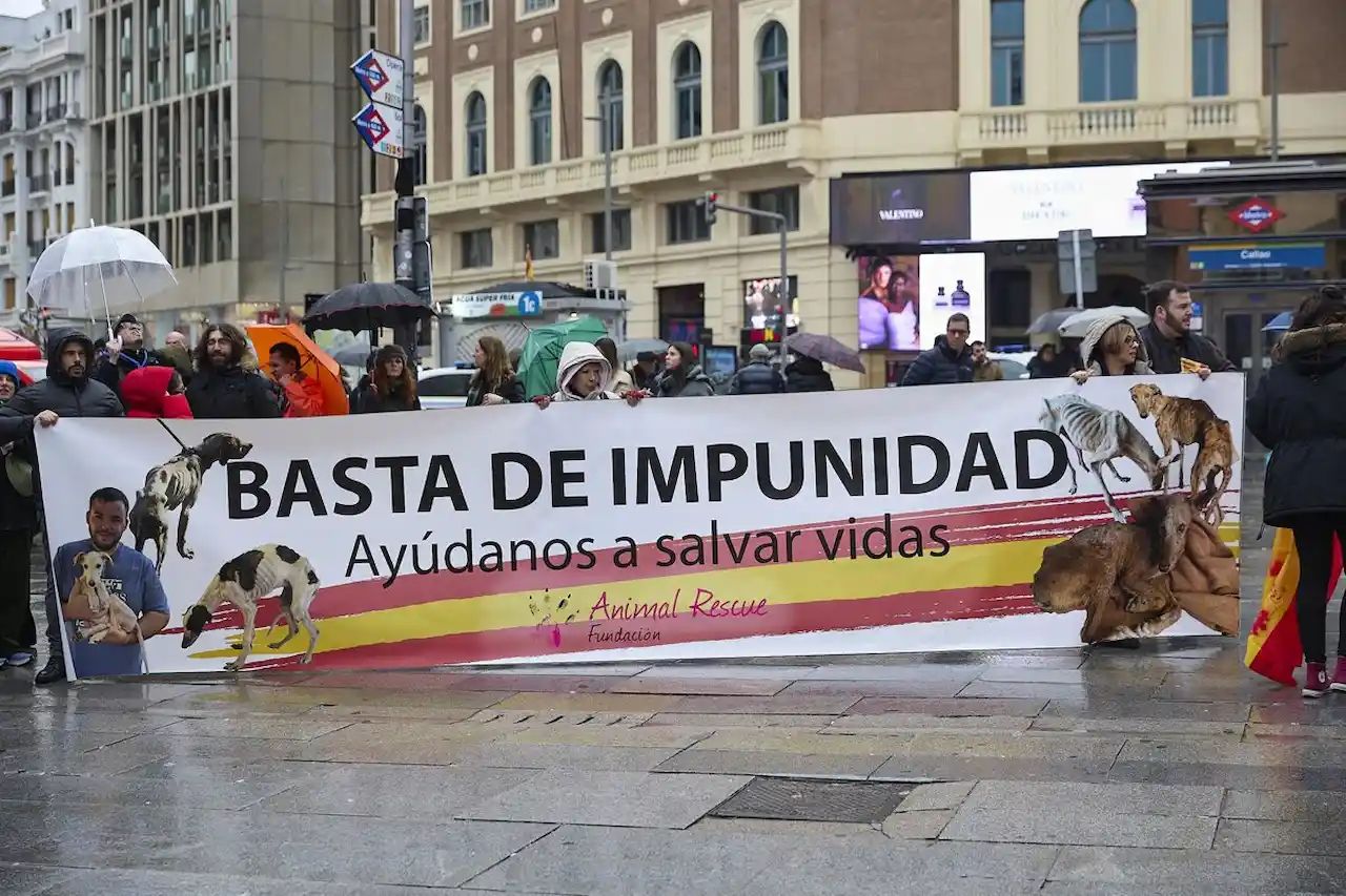 ¡Basta de impunidad! No a la caza con perros / Foto: EP ¡Basta de impunidad! No a la caza con perros / Foto: EP