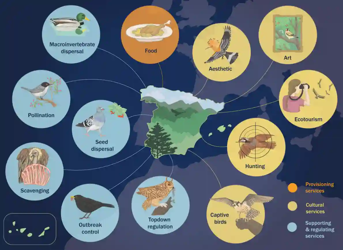 Servicios ecosistémicos