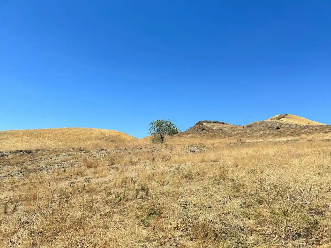 Los suelos secos favorecen la aparición de bacterias resistentes a los antibióticos / Foto: Xiaoyu Shan - SINC