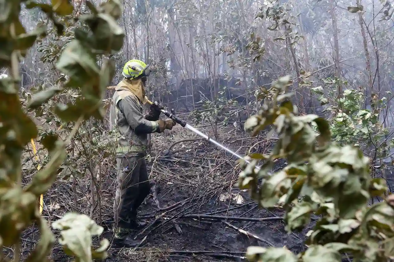 Bomberos trabajan en las tareas de extinción del incendio forestal en Cervo, a 5 de noviembre de 2025, en Cervo, Lugo, Galicia (España) / Foto: Archivo - EP