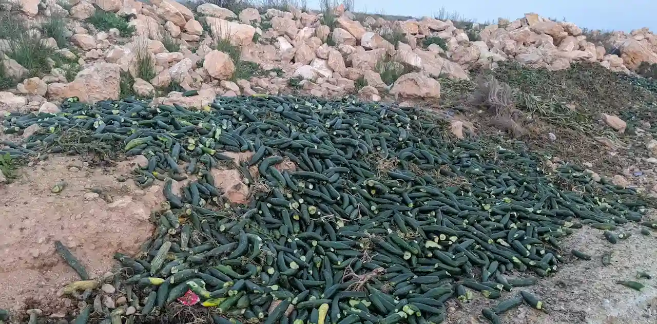 Miles de toneladas de fruta y hortalizas que se pudren en el suelo, sin salida comercial / Foto: Jaime Martínez Valderrama