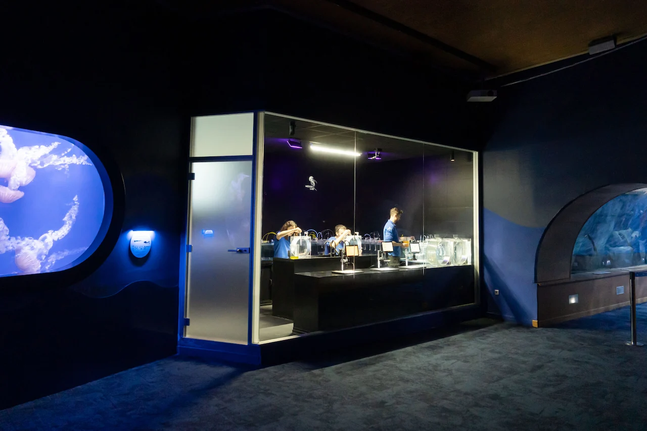 Oceanogràfic abre Medusa Lab en València / Foto: Oceanogràfic