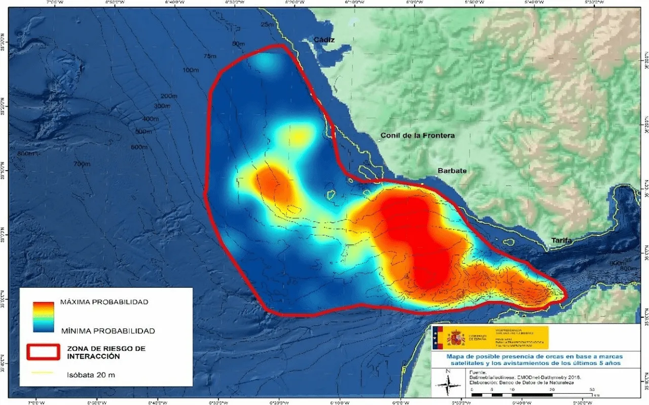 Mapa de las zonas de probabilidad de presencia de orcas y área de riesgo marcada en rojo frente a Cádiz y el Estrecho / Imagen: Ministerio de Transportes