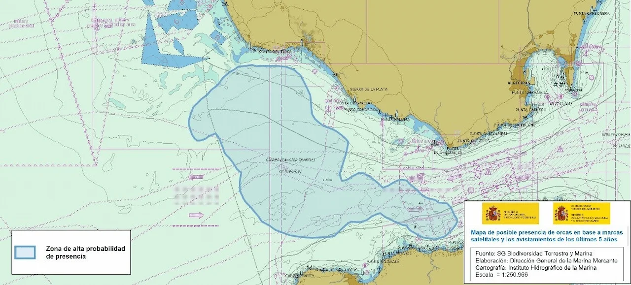 Carta náutica con zona sombreada en azul que indica alta probabilidad de presencia de orcas en el Estrecho / Imagen: Ministerio de Transporte