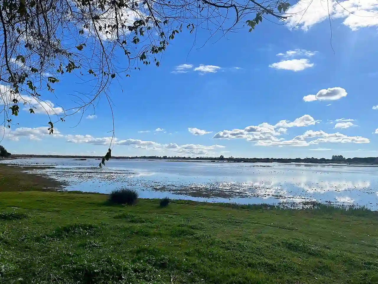 Admitido a trámite el recurso contra el deslinde en Doñana / Foto: WMC