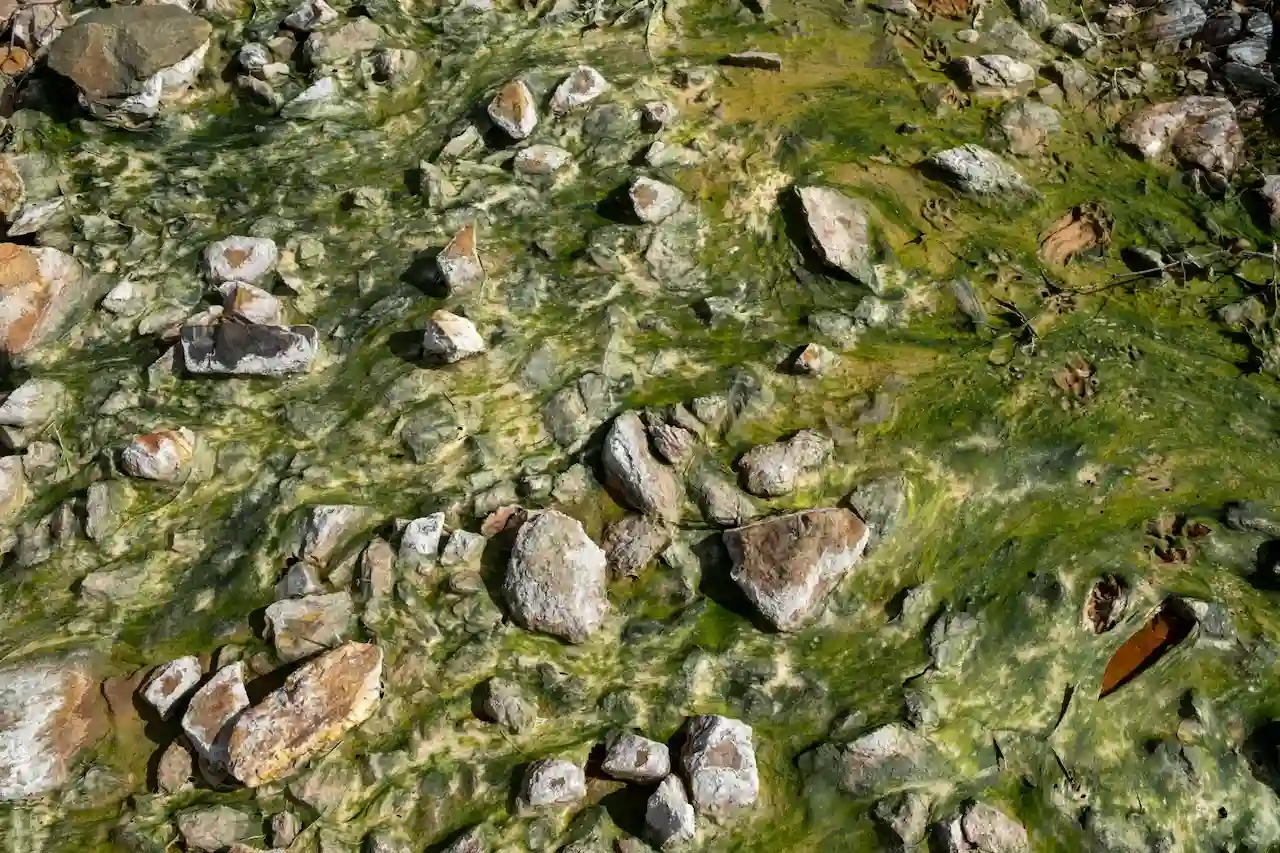 Los vertidos tóxicos siguen filtrándose a los ríos 28 años después del desastre de Aznalcóllar / Foto: Pedro Armestre