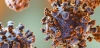 Ilustración del virus zoonótico hantavirus / Imagen: FP