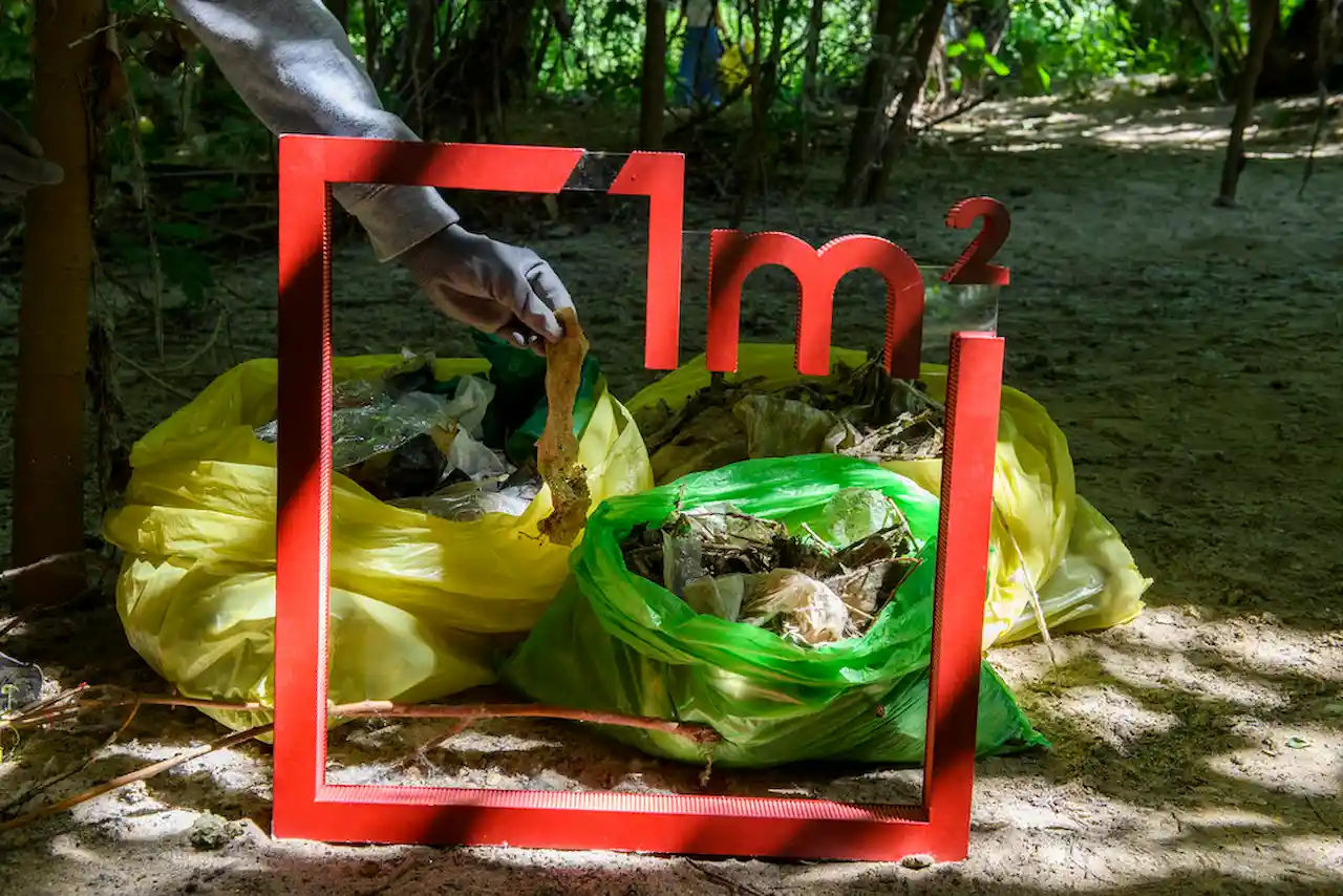 '1M2 contra la basuraleza', décima edición / Imagen: SEO/BirdLife