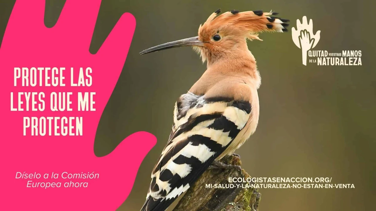 ¿Peligran las Directivas de Aves y Hábitats? / Foto: EA