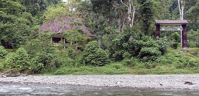 La entrada al parque, situado en la isla del sureste asiático de Sumatra / Foto: Velorian