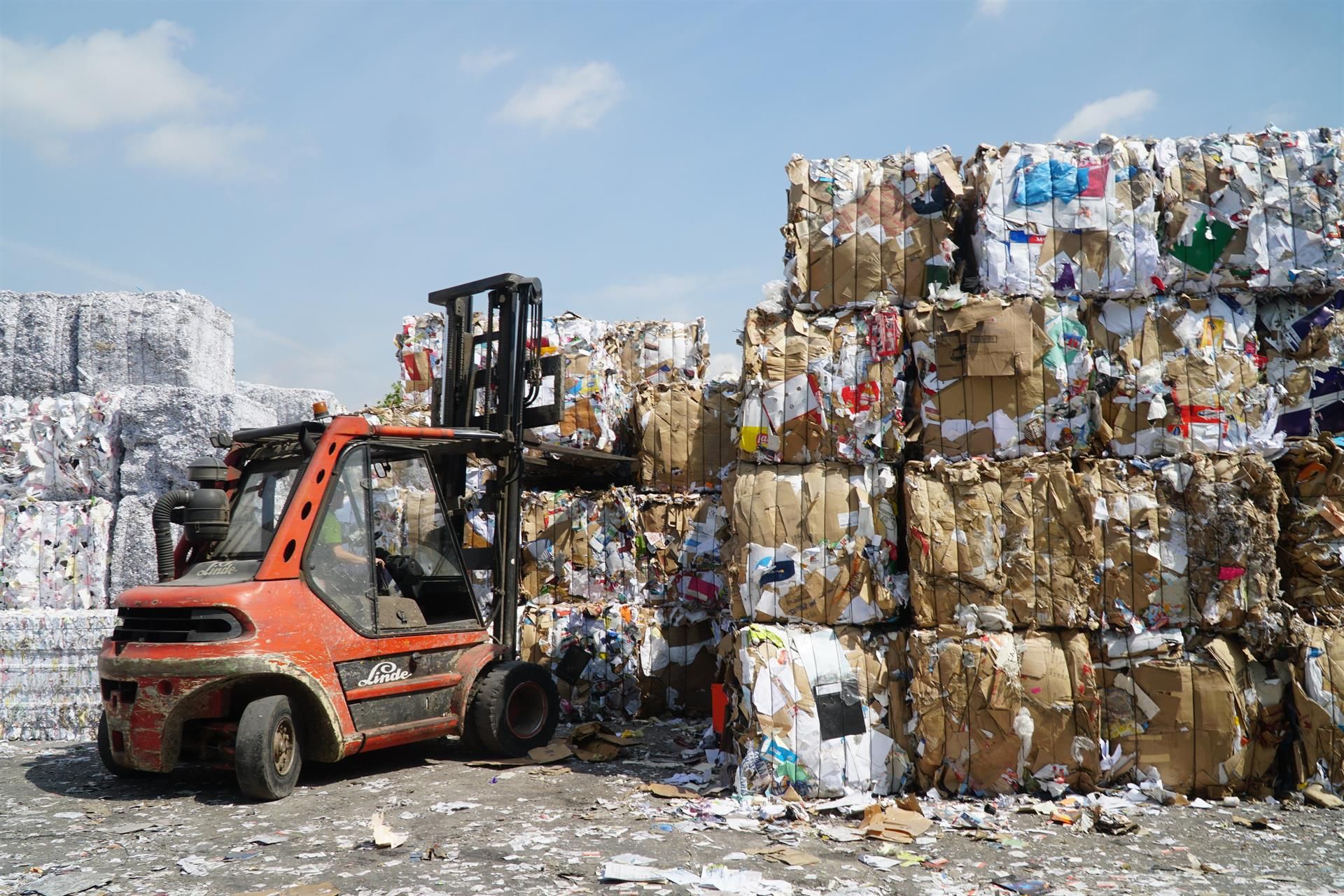 Toneladas de material en una planta donde se procesan para crear nuevos productos.  Papel y el cartón dejarán de ser residuos  / Foto: EP