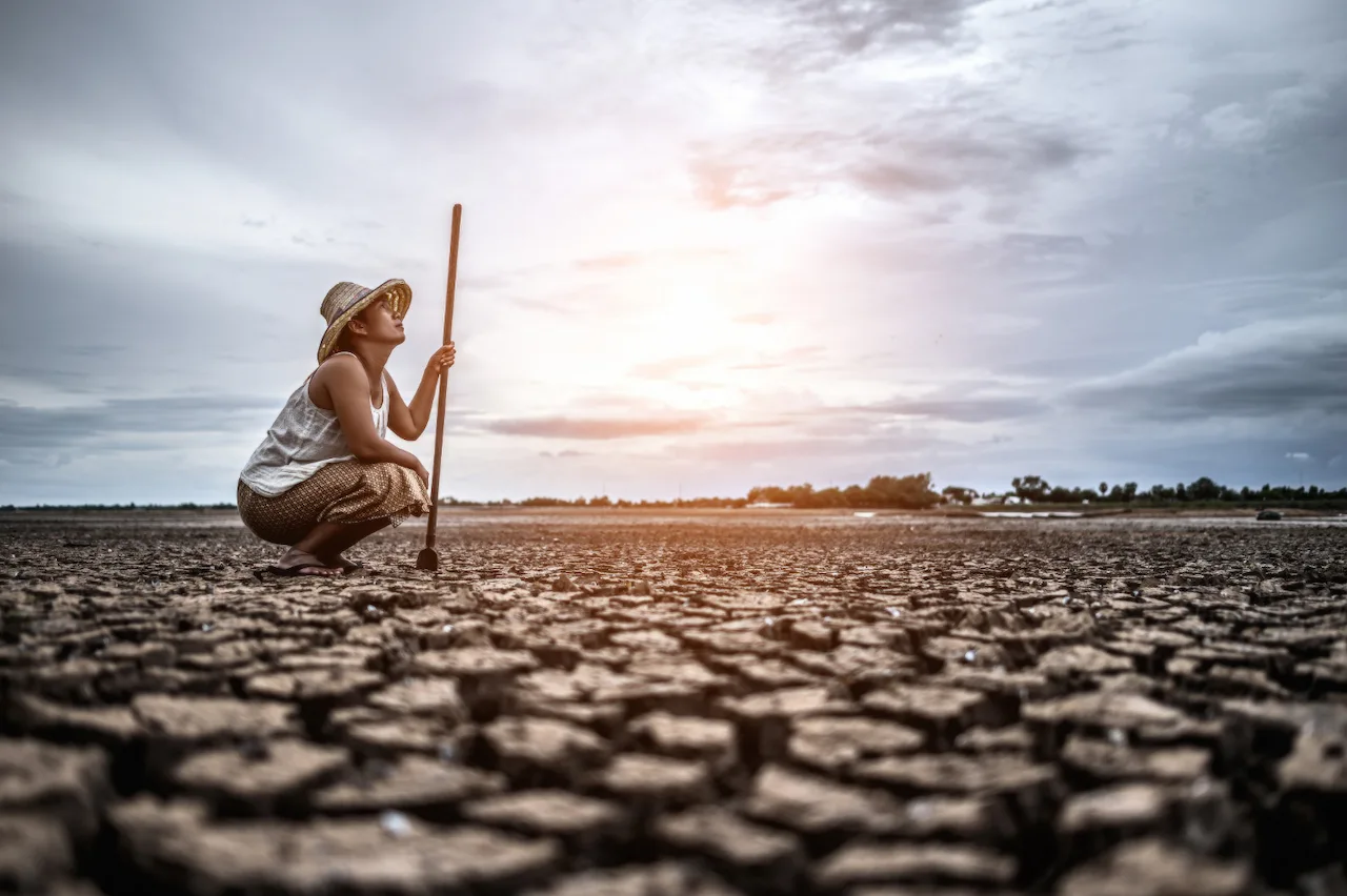 Las sequías, agravadas por El Niño, amenazan los cultivos entre otros efectos extremos Las sequías, agravadas por El Niño, amenazan los cultivos entre otros efectos extremos