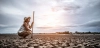 Las sequías, agravadas por El Niño, amenazan los cultivos entre otros efectos extremos Las sequías, agravadas por El Niño, amenazan los cultivos entre otros efectos extremos
