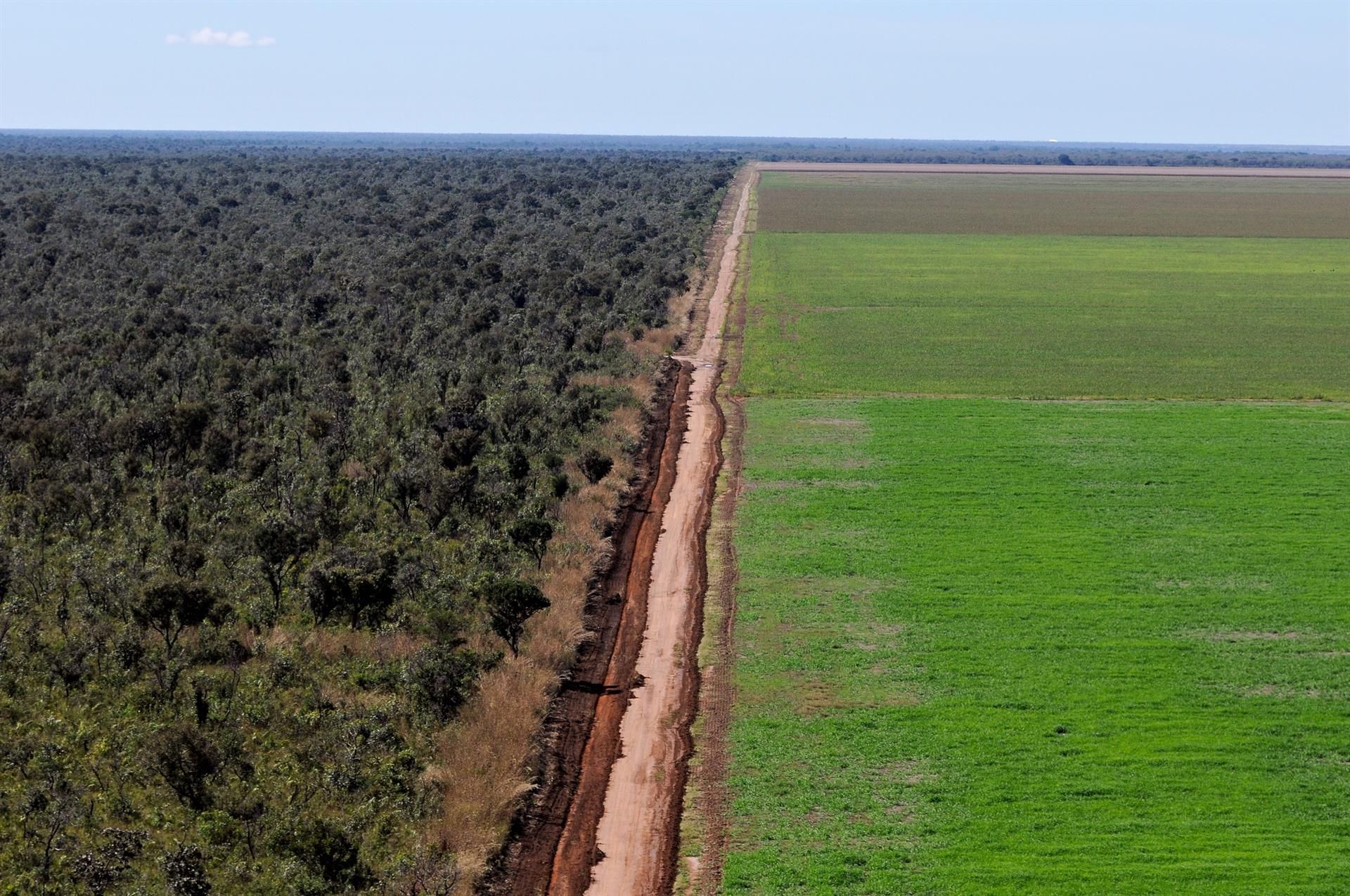 Las tierras cultivadas avanzan en detrimento de los espacios naturales / Foto: WWF