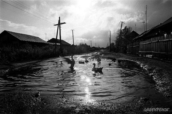 Esta zona de la provincia de Cheliabinsk es una de las más contaminadas del planeta. Accidente nuclear  / Foto: Greenpeace