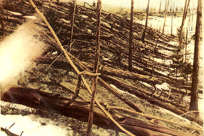 Bosques quemados hace años por el fuego en la región de Tunguska / Foto: Wikipedia