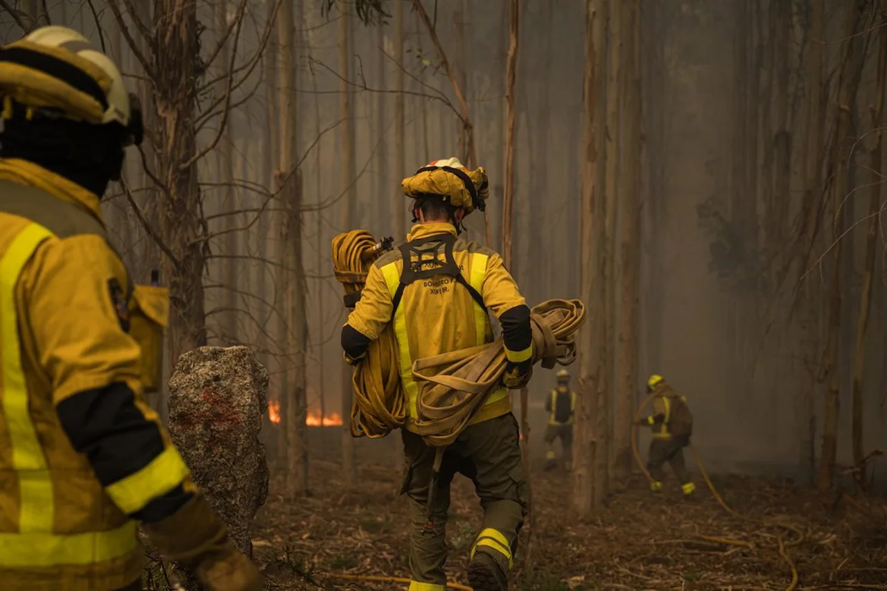 Incendios forestales en España. Bomberos trabajan en la extinción del incendio forestal en el monte Galleiro, a 6 de abril de 2026, en Ribadetea, Galicia / Foto: Elena Fernández-EP Incendios forestales en España. Bomberos trabajan en la extinción del incendio forestal en el monte Galleiro, a 6 de abril de 2026, en Ribadetea, Galicia / Foto: Elena Fernández-EP