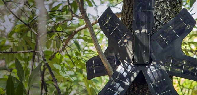 El aparato se instala en las copas de los árboles y pasa desapercibido / Foto: RC