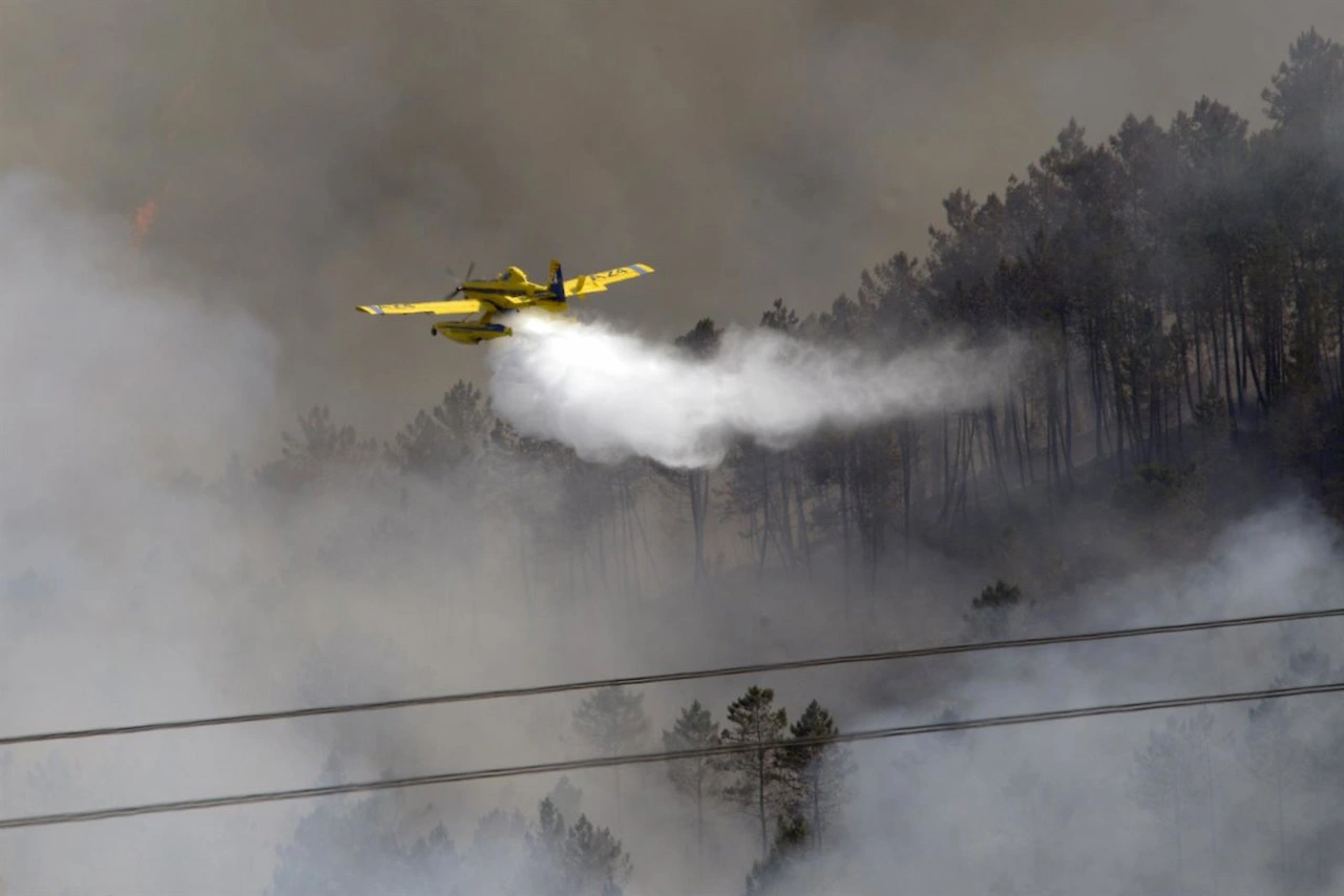 Labores de extinción de un incendio forestal, a 14 de junio de 2026, en Boborás, Ourense, Galicia (España) / Foto: EP Labores de extinción de un incendio forestal, a 14 de junio de 2026, en Boborás, Ourense, Galicia (España) / Foto: EP