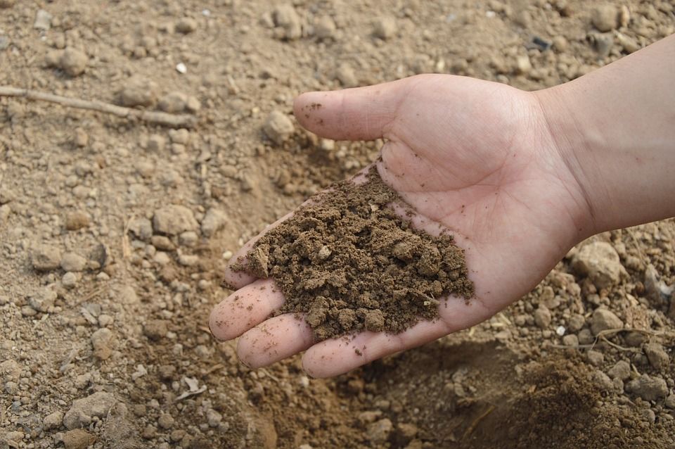 Los argumentos ecológicos son destacados por los defensores de esta iniciativa / Foto: Jing