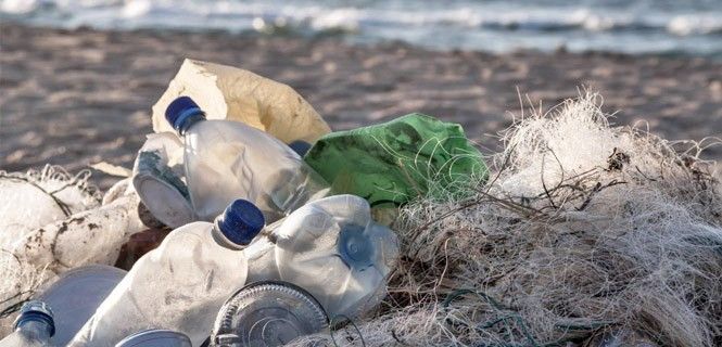 Botellas de plástico junto a otros residuos en la playa / Foto: Kochneva Tetyana
